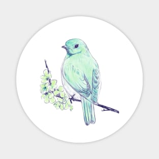 green bird Magnet